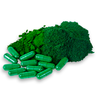 Spirulina